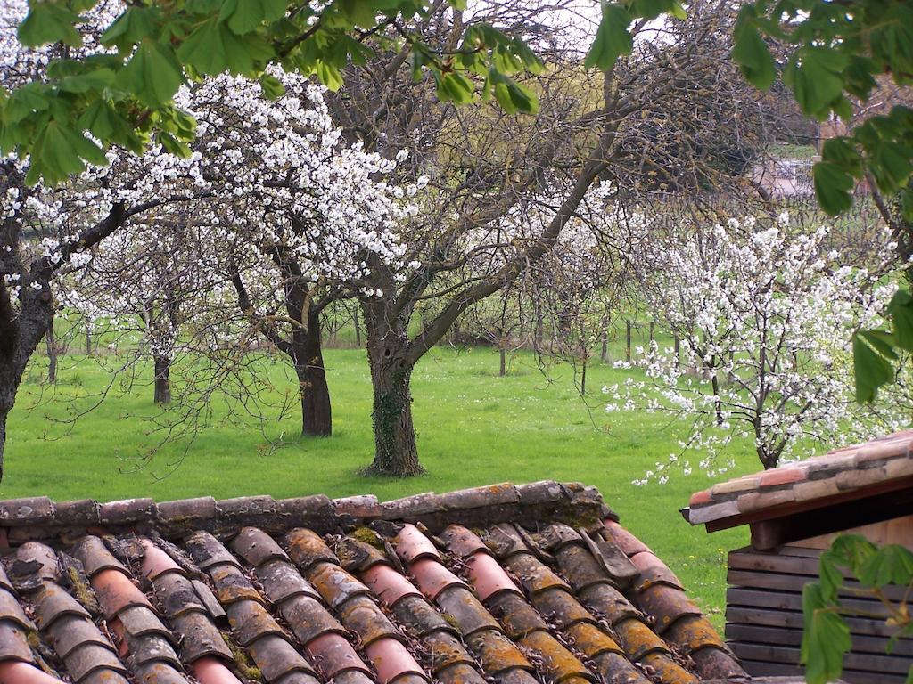 Clos De Pomeir Guest House Pommiers  Exterior foto